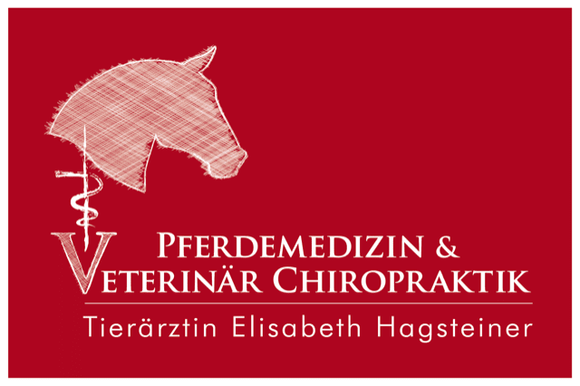 Mobile Pferdepraxis & Veterinär Chiropraktik